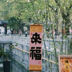 江大小后街張用戶圖片