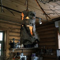 一个嘎查咖啡店 User Photo