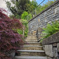 Ristorante Lo Storico User Photo