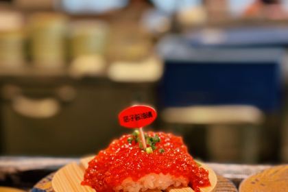 Kaitenzushi Nemuro Hanamaru Ginza