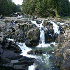 Talk of India User Photo