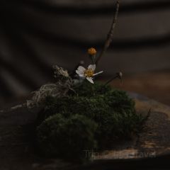 無一堂·茶空間 User Photo