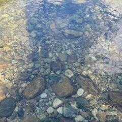 景熙豐莊園張用戶圖片