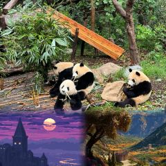 Bingdaocha Restaurant (renminlu) User Photo