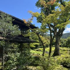 Blue Bottle Coffee Kyoto張用戶圖片