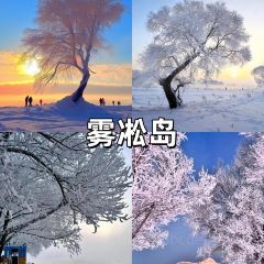 雪乡纳山纳雪酒店·中餐厅 User Photo