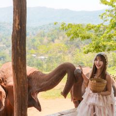 Elefin Farm & Cafe เอเลฟิน ฟาร์ม แอนด์ คาเฟ่ User Photo