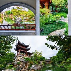 西部牛扒城張用戶圖片