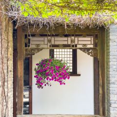 永顺客栈临河餐厅 User Photo