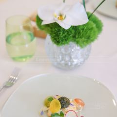 GIADA Garden User Photo