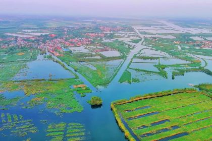 白洋淀望月岛5号院