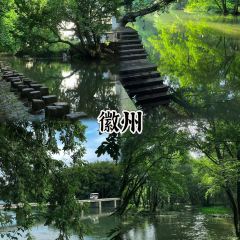 秀嫂挞粿 User Photo