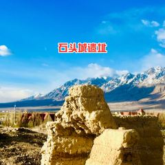 塔漂咖啡馆 User Photo