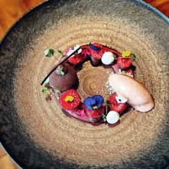 SILEX Restaurant User Photo