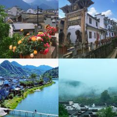 一品鲜鱼锅贴(人民一路店) User Photo