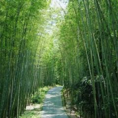 Zhaolaosixian'echang Hot Pot (pengzhoujiuchi) User Photo