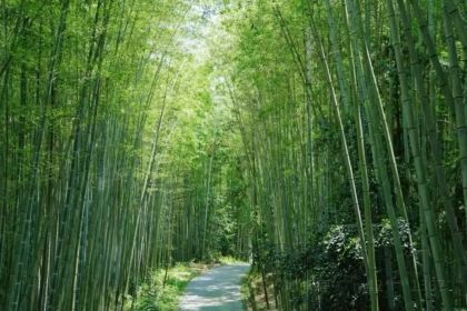 Zhaolaosixian'echang Hot Pot (pengzhoujiuchi)