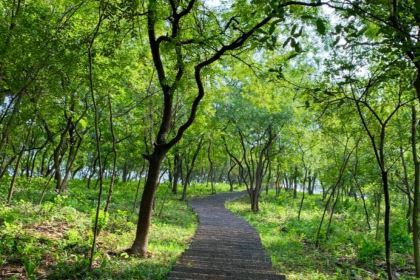 黃栗樹生態美食土菜館