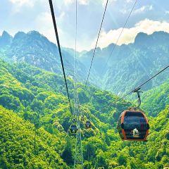 LAO MA CAI User Photo