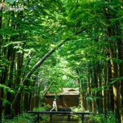 LOBSTER MONSTRE 여행 사진