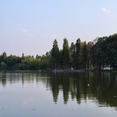 树蛙部落(仙女湖店)·餐厅 User Photo