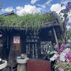 幽兰落 User Photo