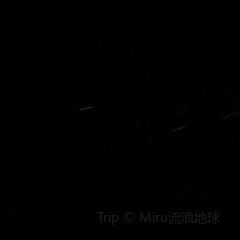 The Tropic User Photo