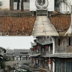 GOLD GARDEN User Photo