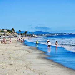 Seneca Trattoria張用戶圖片