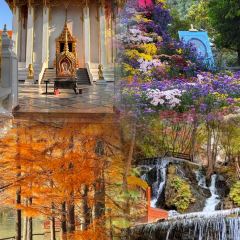 LONG LIN LU DI YI GU NIU ROU SHANG User Photo