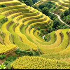 云味餐厅 User Photo