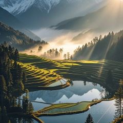 MALAYA TIBETAN RESTAURANT User Photo