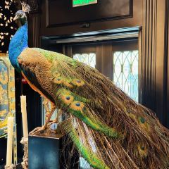 喜筵28·精细潮粤菜(五大道王府店) User Photo