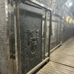 ZHENG XI WANG User Photo