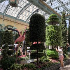 The Buffet at Bellagio User Photo
