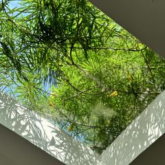 Woodberry Cafe User Photo