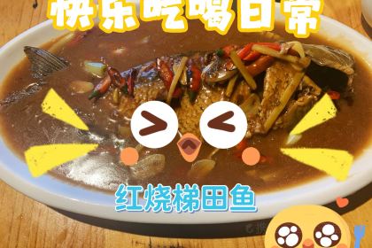 元阳县梯田哈尼火塘