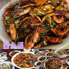 扎渡人家(古城店) User Photo