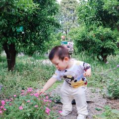 铁牛妈妈的餐厅 User Photo