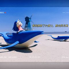 海天阁(成山大道东段店) User Photo