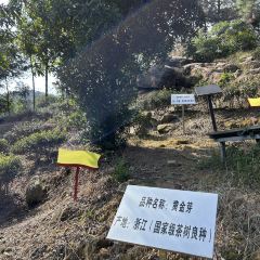 茶山天然居 User Photo