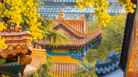 Baotong Temple attraction in Wuhan