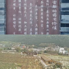老梨园农庄 여행 사진