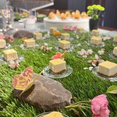 Cloud 9 Sky Bar & Lounge 여행 사진