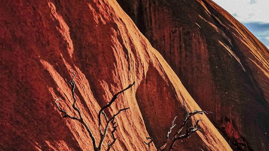 Ayers Wok Noodle Bar