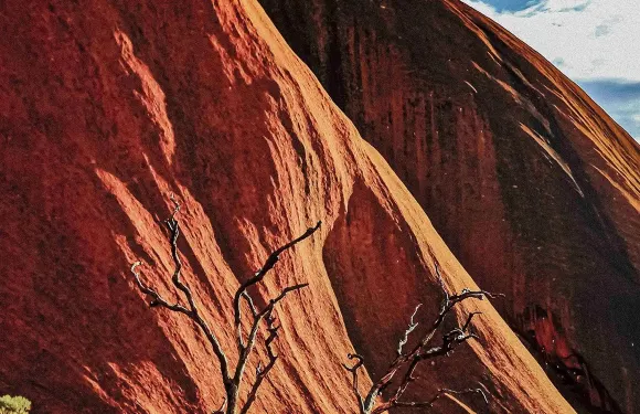 Ayers Wok Noodle Bar