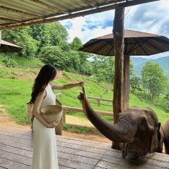 Elefin Farm & Cafe เอเลฟิน ฟาร์ม แอนด์ คาเฟ่ User Photo