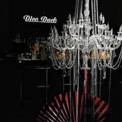 Dico Duck User Photo