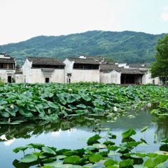 HUAN XIU TU CAI GUAN User Photo