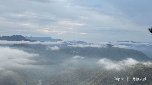 hai tang shan shan yao lu ying guan jing ying di